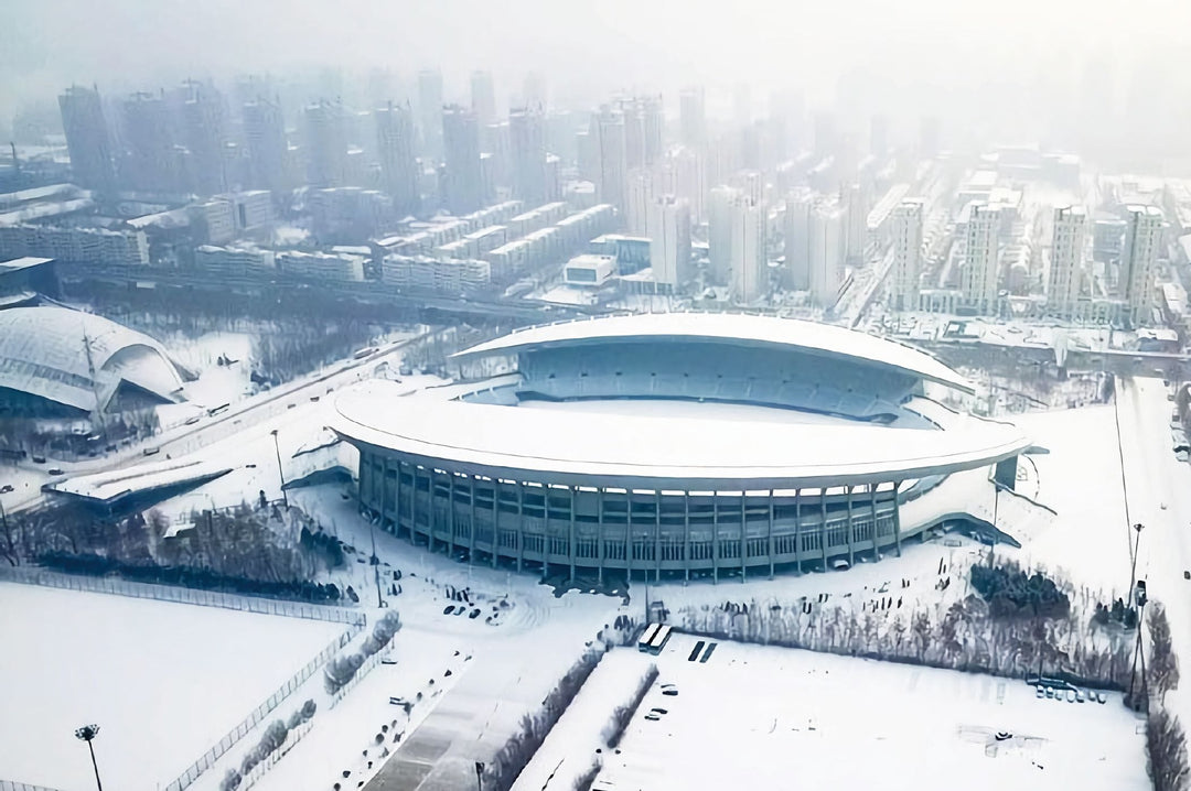 VT6CR cold-resistant membrane — stadium roof in winter conditions
